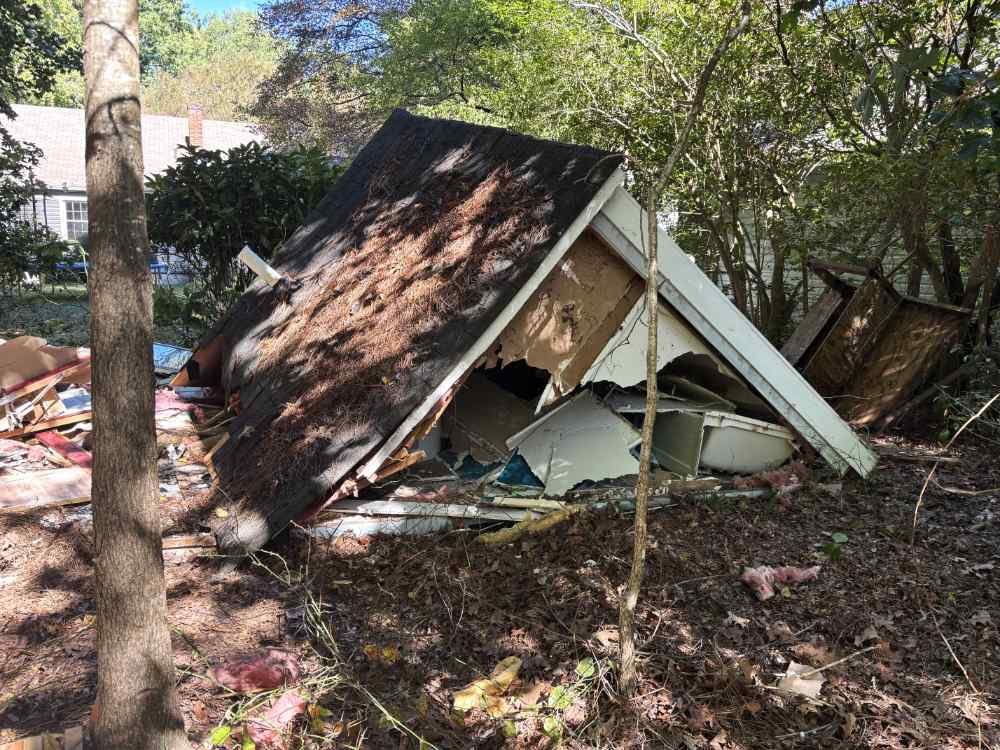 Demolished wooden shed with a collapsed roof and structural debris during a residential site clearing project.
