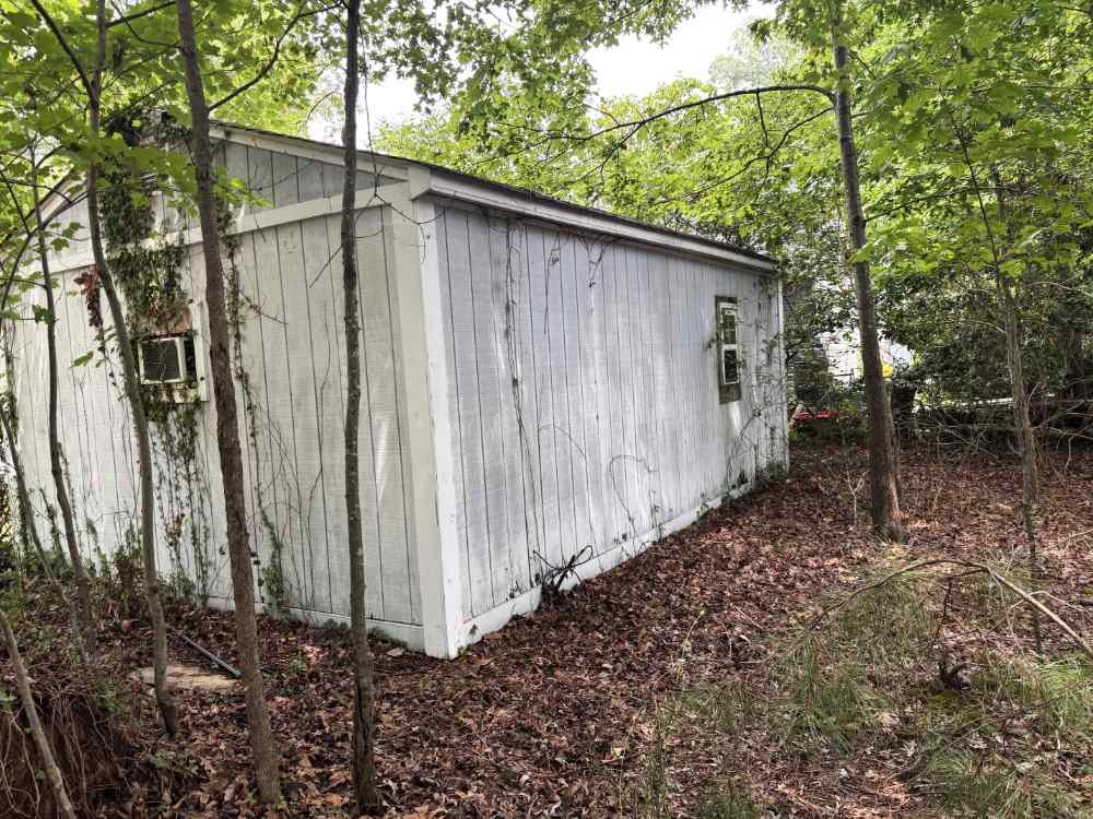 Old overgrown wooden shed surrounded by trees before residential shed demolition and site clearing.